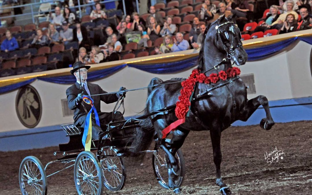 Merriehill Home Stretch GCH