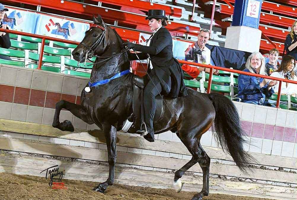 Kinzu All Or Nothing