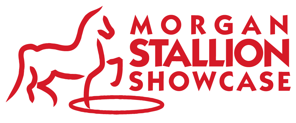 Morgan Stallion Showcase